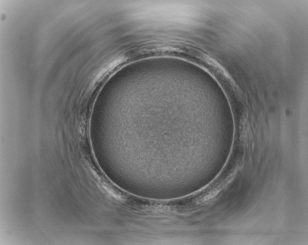 X0000088580785200706011111