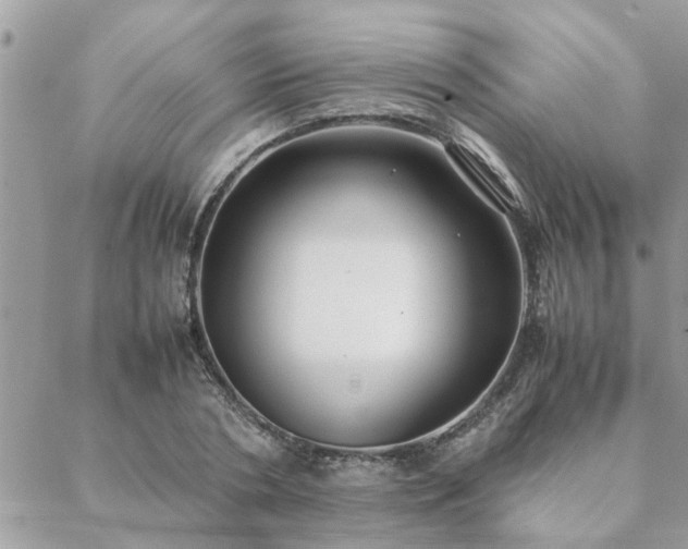 X0000088580786200706011111