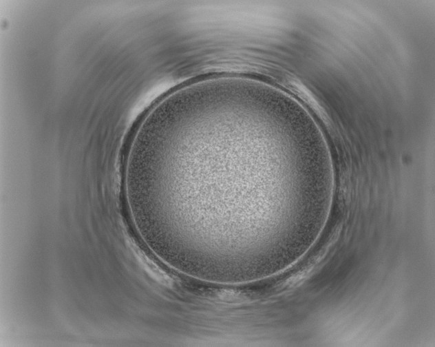 X0000088580787200706011111