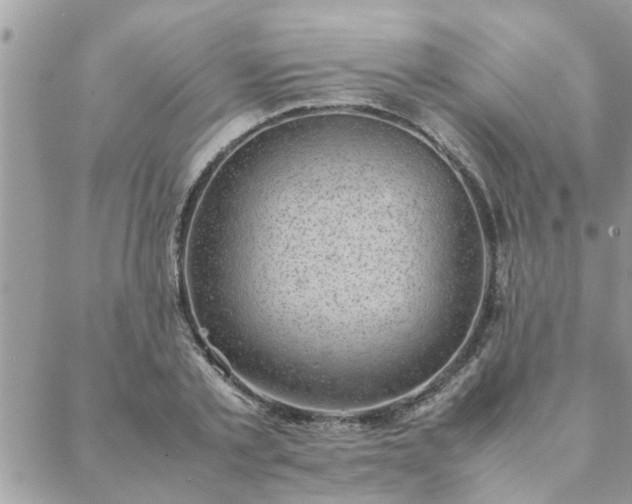 X0000088580789200706011111