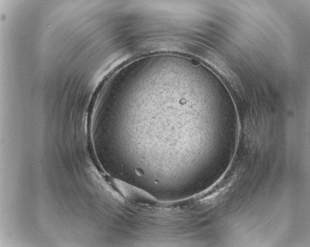 X0000088580790200706011111