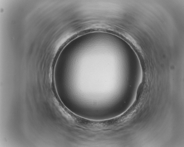 X0000088580791200706011111