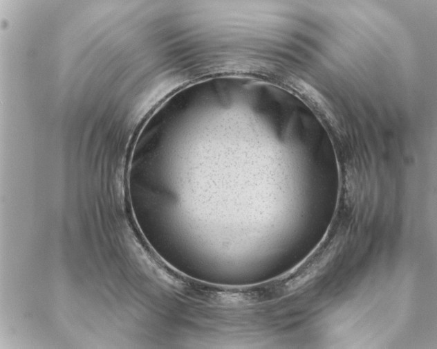 X0000088580794200706011111