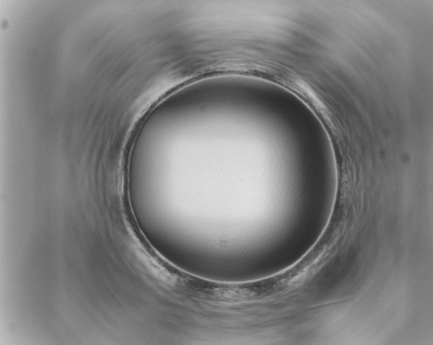 X0000088580795200706011111