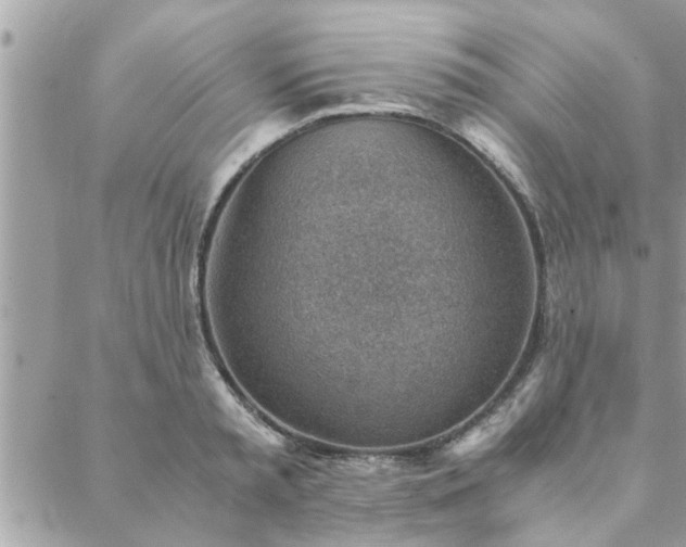 X0000088580797200706011111