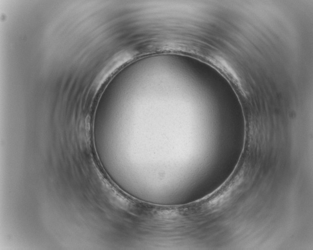 X0000088580798200706011111