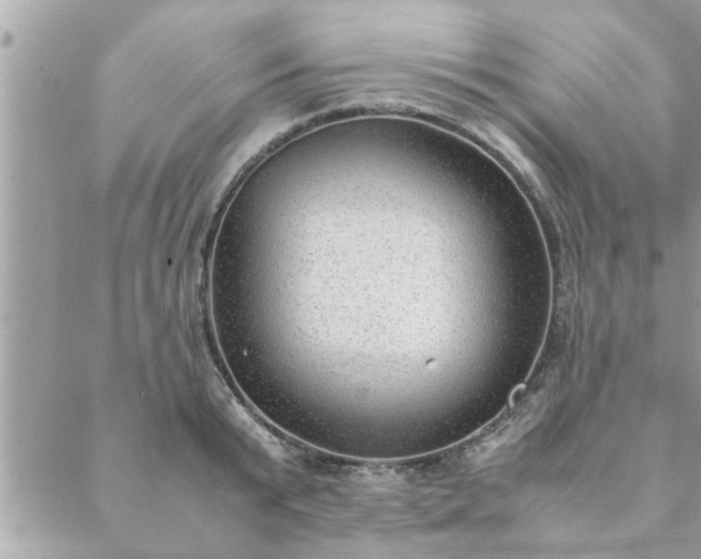 X0000088580799200706011111