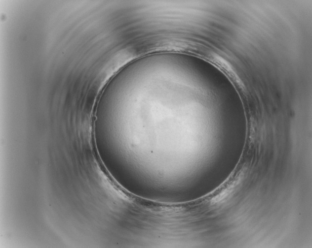 X0000088580802200706011111