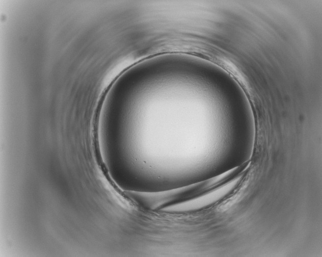 X0000088580803200706011111