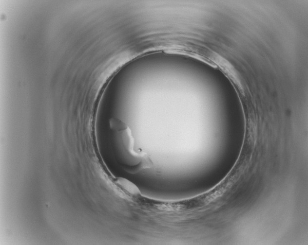 X0000088580805200706011111