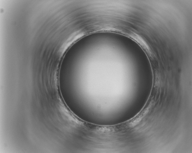 X0000088580806200706011111