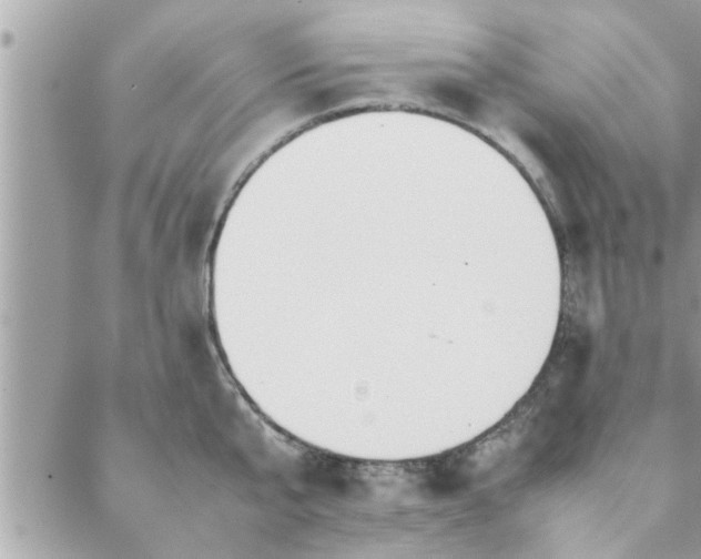 X0000088580807200706011111