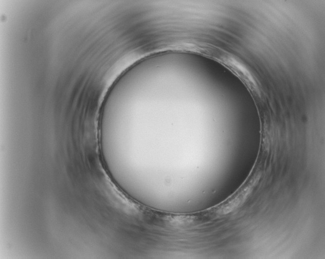 X0000088580808200706011111