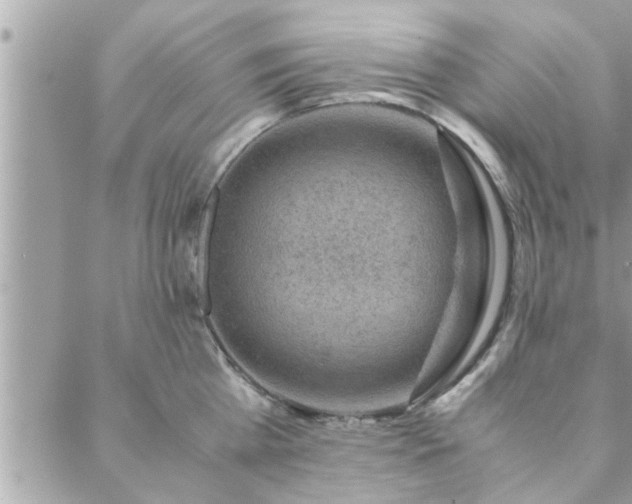 X0000088580809200706011111