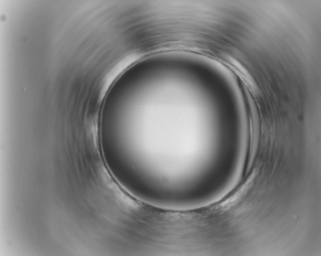 X0000088580812200706011111