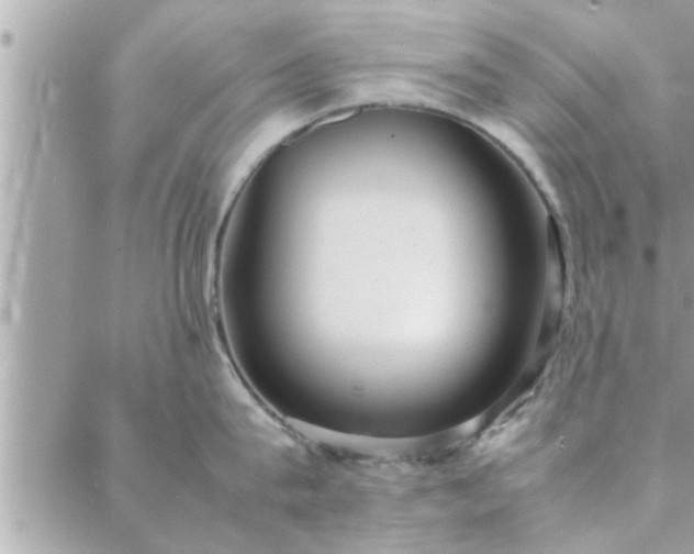 X0000088580815200706011111