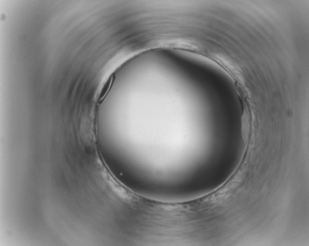 X0000088580816200706011111