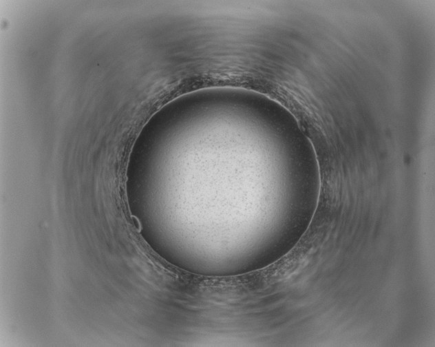 X0000088580817200706011110