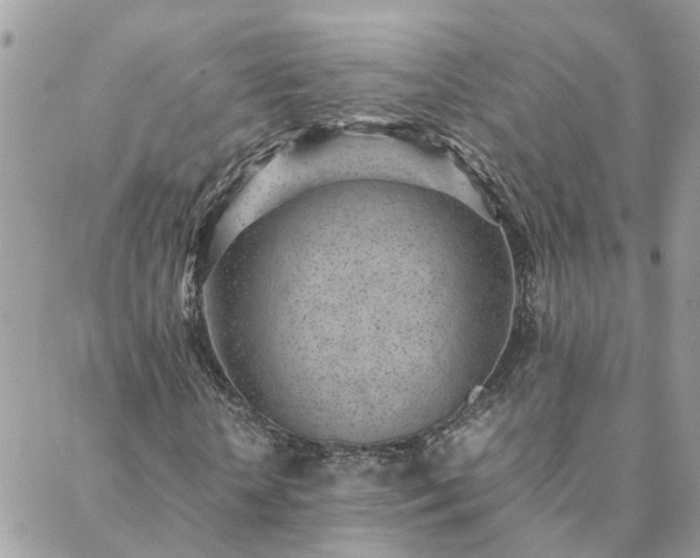 X0000088580818200706011110