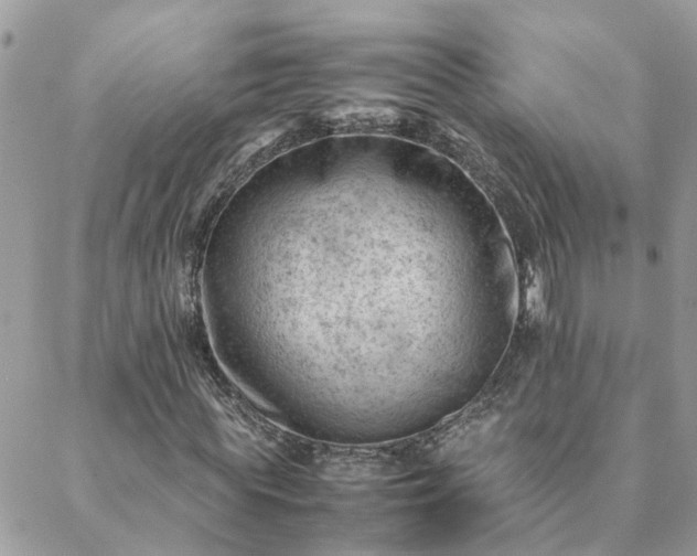 X0000088580819200706011110