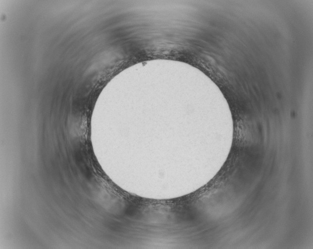 X0000088580820200706011110