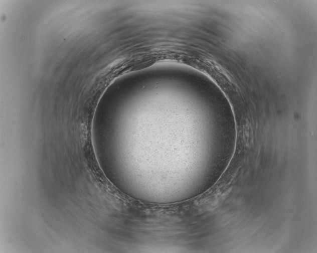 X0000088580821200706011110