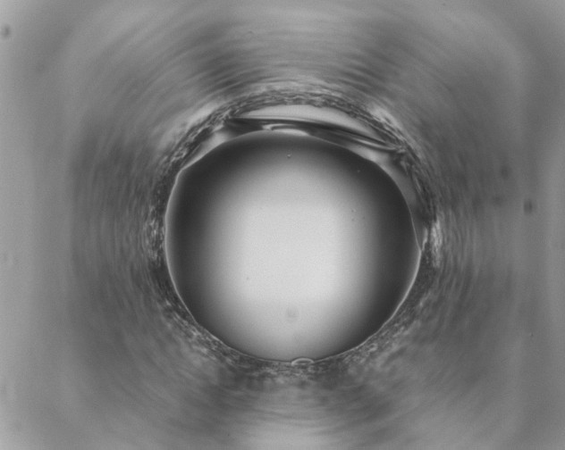 X0000088580822200706011110