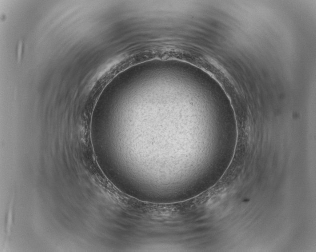 X0000088580823200706011110