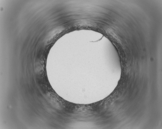 X0000088580824200706011110