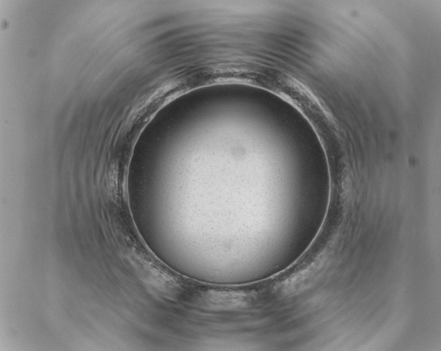 X0000088580825200706011110