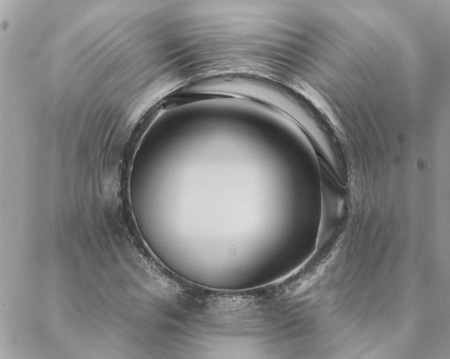 X0000088580826200706011110