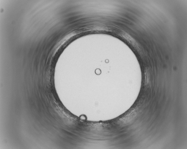 X0000088580828200706011110