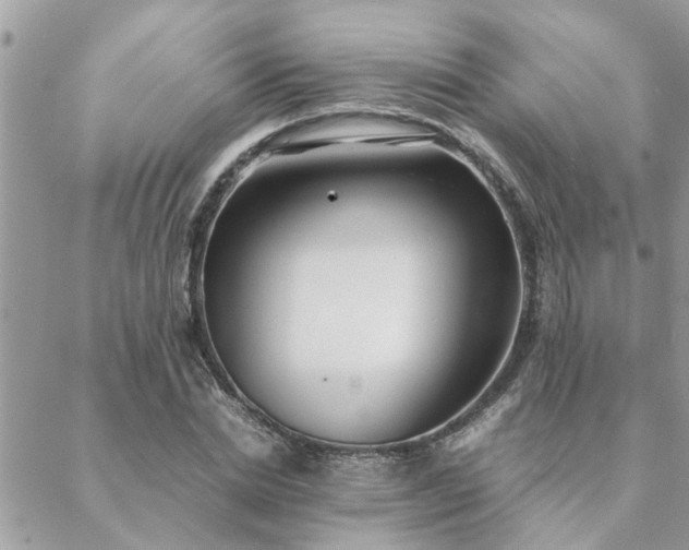 X0000088580830200706011110