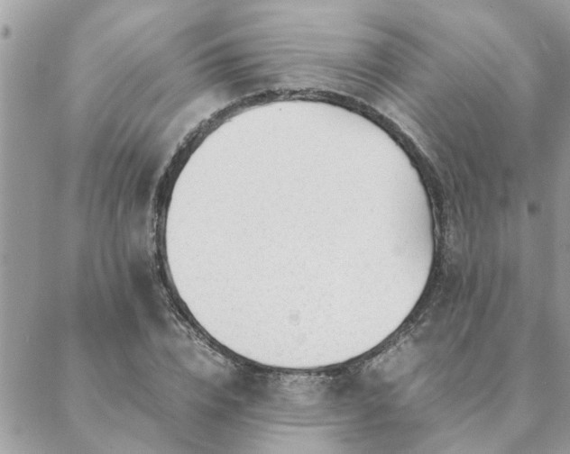 X0000088580832200706011110