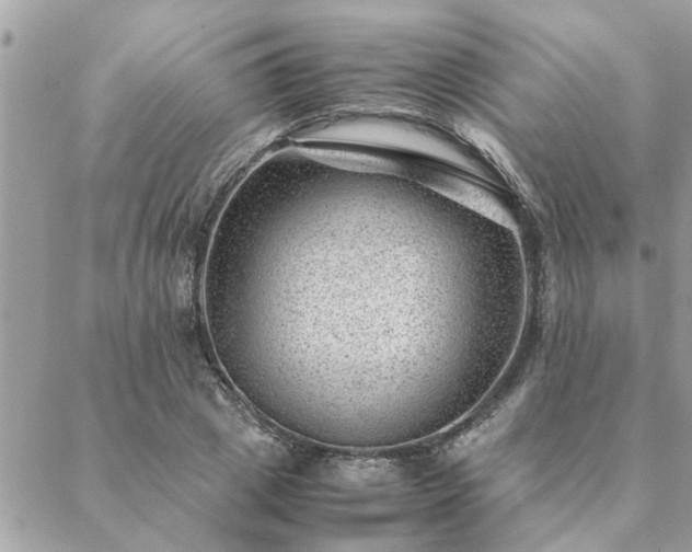 X0000088580833200706011110