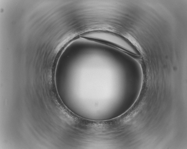 X0000088580834200706011110