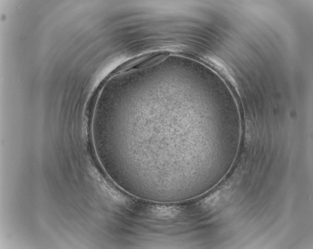 X0000088580835200706011110