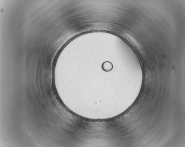 X0000088580836200706011110