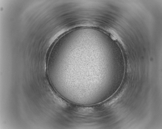 X0000088580837200706011110