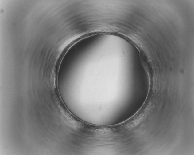 X0000088580838200706011111