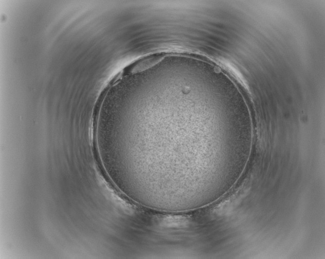 X0000088580839200706011111