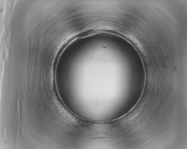 X0000088580840200706011111