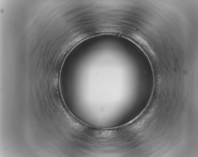 X0000088580841200706011111