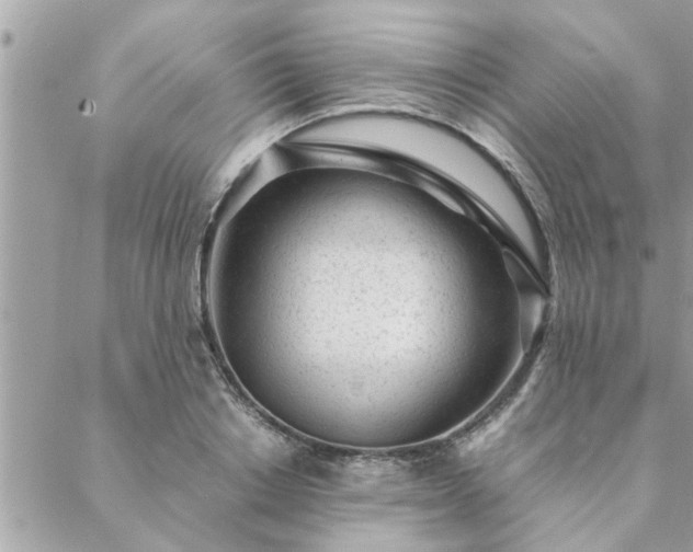 X0000088580842200706011111