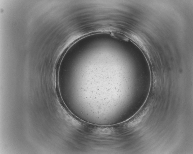 X0000088580843200706011111