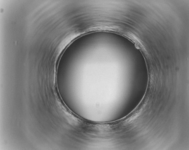 X0000088580844200706011111