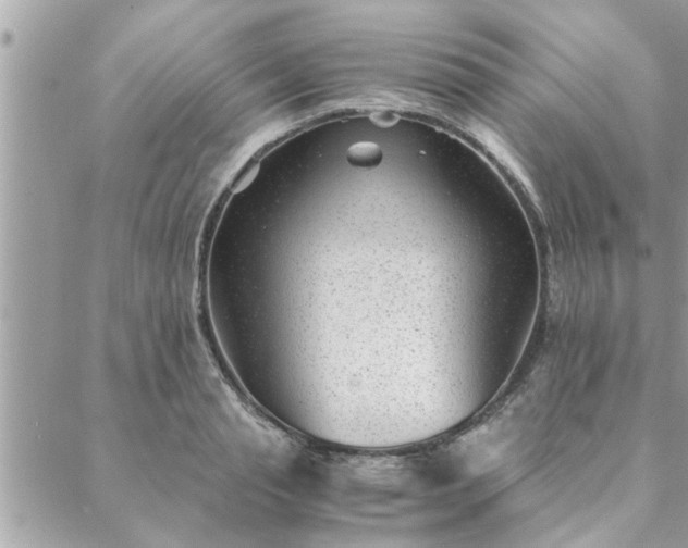 X0000088580845200706011111