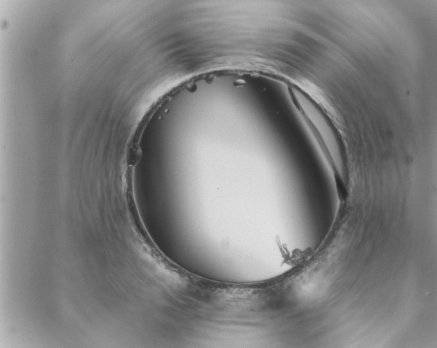 X0000088580846200706011111