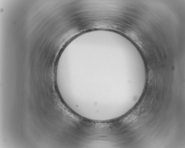 X0000088580848200706011111