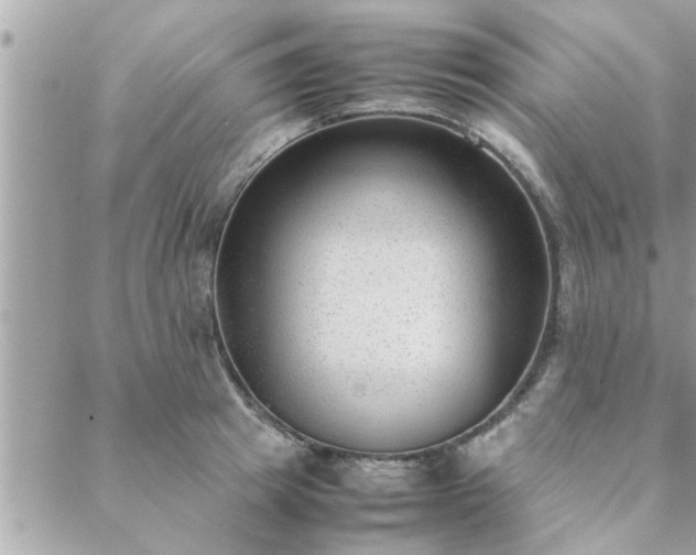 X0000088580849200706011111